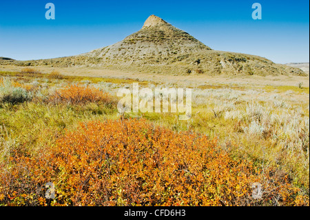 Herbst, Killdeer Badlands, Ostblock, Grasslands National Park, Saskatchewan, Kanada Stockfoto