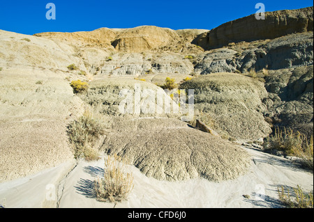 Killdeer Badlands, Ostblock, Grasslands National Park, Saskatchewan, Kanada Stockfoto