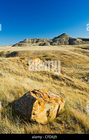 Killdeer Badlands, Ostblock, Grasslands National Park, Saskatchewan, Kanada Stockfoto