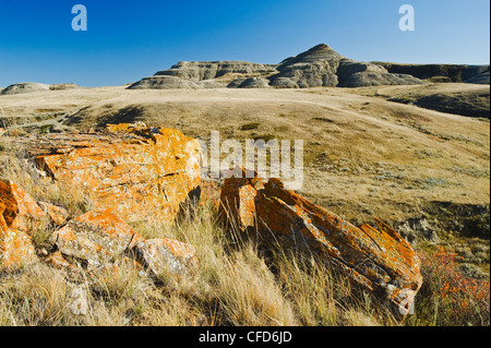 Killdeer Badlands, Ostblock, Grasslands National Park, Saskatchewan, Kanada Stockfoto