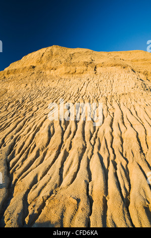 Killdeer Badlands, Ostblock, Grasslands National Park, Saskatchewan, Kanada Stockfoto