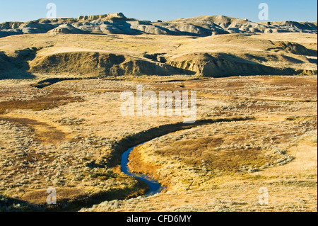 Killdeer Badlands, Ostblock, Grasslands National Park, Saskatchewan, Kanada Stockfoto