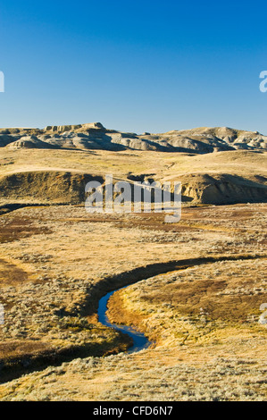 Killdeer Badlands, Ostblock, Grasslands National Park, Saskatchewan, Kanada Stockfoto