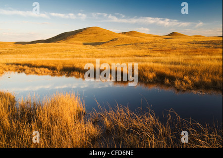 West-Block, Grasslands National Park, Saskatchewan, Kanada Stockfoto