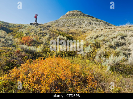 Killdeer Badlands, Ostblock, Grasslands National Park, Saskatchewan, Kanada Stockfoto