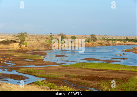 Tsavo River, Tsavo East National Park in Kenia, Ost-Afrika, Afrika Stockfoto