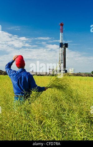 Ein Mann blickt auf ein Feld von Pod Bühne Raps mit einer Öl-Bohrinsel im Hintergrund, in der Nähe von Sinclair, Manitoba, Kanada Stockfoto