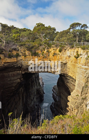 Tasman Arch, Piratenbucht, Tasman Halbinsel, Tasmanien, Australien, Pazifik Stockfoto