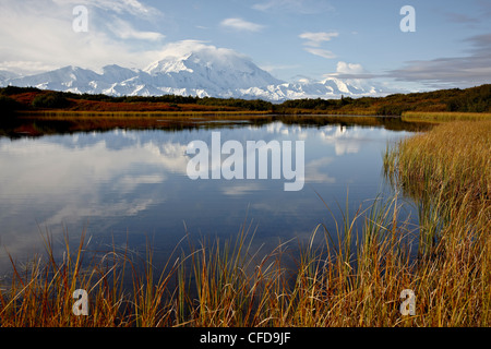 Mount McKinley spiegelt sich in einem Teich, Denali Nationalpark und Reservat, Alaska, Vereinigte Staaten von Amerika, Stockfoto