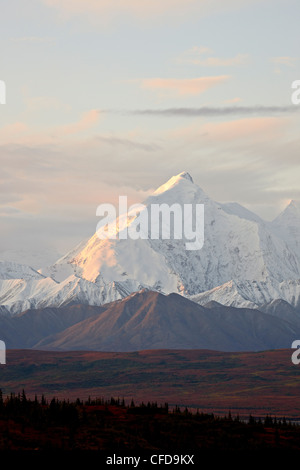 Mount Foraker im Herbst, Denali Nationalpark und Reservat, Alaska, Vereinigte Staaten von Amerika, Stockfoto