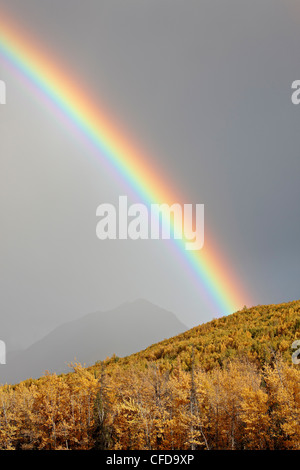 Regenbogen mit Herbstfarben in der Nähe von King Mountain State Recreation Area und Chickaloon, Alaska, Vereinigte Staaten von Amerika Stockfoto