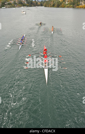 Rudern-Teams in der Gorge Waterway, Victoria, Britisch-Kolumbien, Kanada Stockfoto