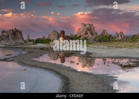 Tufas (Calciumcarbonat Felsformationen) bei Sonnenuntergang, Mono Lake, Lee Vining, California, USA Stockfoto