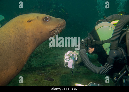 Taucher aufsteht persönliche Lupe Steller Stockfoto