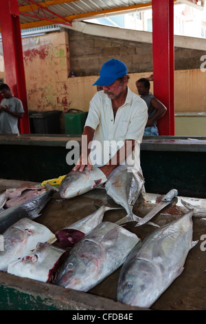 Mann Markt Reinigung und frischer Fisch auf den Sir Selwyn Clark Fische ausnehmen, Victoria, Mahé, Seychellen Stockfoto