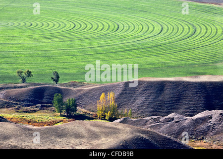 Luftaufnahmen über der Cariboo Region von British Columbia, Kanada Stockfoto