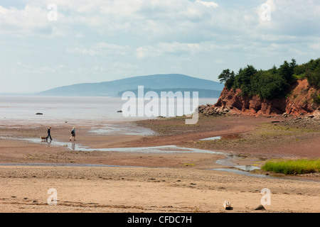 Paar Wandern bei Ebbe, Bay Of Fundy, Dorchester Cape, New Brunswick, Kanada Stockfoto