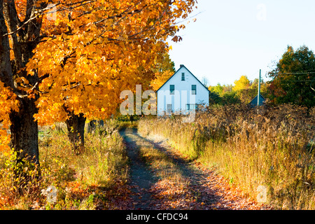 Fallen Sie Blätter und Haus, Saint John River Valley, Fredericton, New Brunswick, Kanada Stockfoto