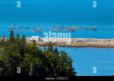 Wehr Net, Black Harbour Grand Manan Island, Bay Of Fundy, New Brunswick, Kanada Stockfoto