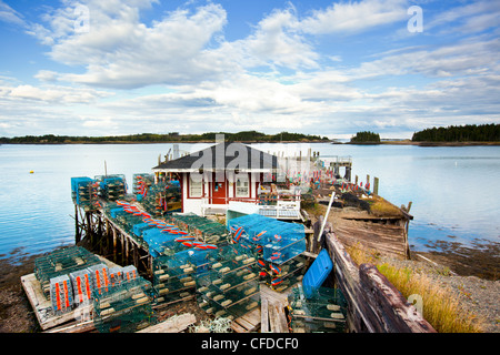 Hummer-Bojen und Hummerfallen, Leonardville Wharf, Deer Island, Bay Of Fundy, New Brunswick, Kanada Stockfoto