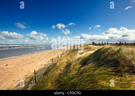 Düne mit Blick auf die Northumberland Strait, Verschluss Pele, New Brunswick, Kanada Stockfoto