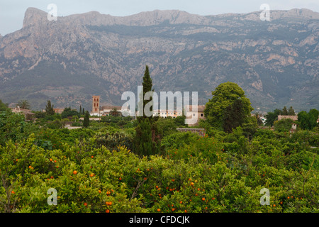 Soller, Stadt, Serra de Tramuntana, Tramuntana-Gebirge, Mallorca, Balearen, Spanien, Europa Stockfoto