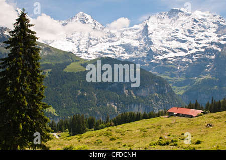 Jungfraumassiv von Mürren, Jungfrau Region, Schweiz, Europa Stockfoto