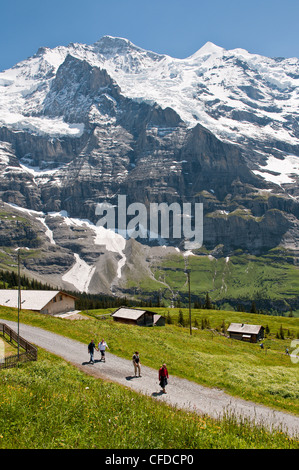 Wandern unter dem Jungfraumassiv von Kleine Scheidegg, Jungfrau Region, der Schweiz, Europa Stockfoto
