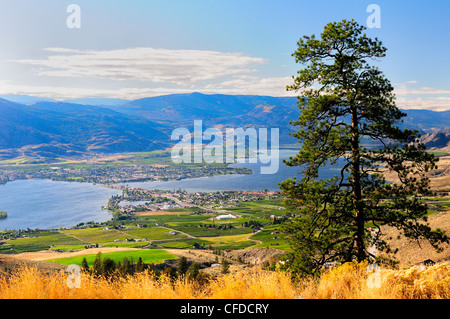 VEW der Stadt Osoyoos, Britisch-Kolumbien, Kanada Stockfoto