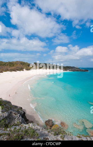 Horseshoe Bay Strand, Bermuda, Mittelamerika Stockfoto