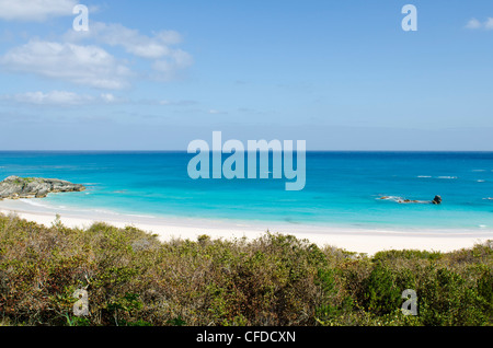 Horseshoe Bay Strand, Bermuda, Mittelamerika Stockfoto