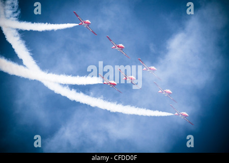 Die Snowbirds Antenne Leistung in Comox, Vancouver Island, British Columbia, Kanada Stockfoto