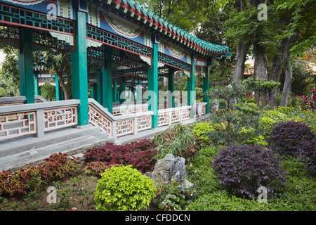 Gärten der Sik Sik Yuen Tempel, Wong Tai Sin, Kowloon, Hong Kong, China, Asien Stockfoto