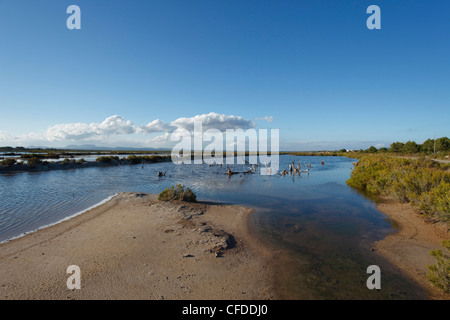 Salines de Levante, Kochsalzlösung, Salz zu gewinnen, in der Nähe von Colonia de Sant Jordi, Mallorca, Balearen, Spanien, Europa Stockfoto