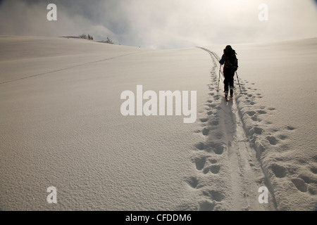 Eine Silhouette des weiblichen Backcountry Skifahrer entlang einer Spur im Schnee Häuten. Stockfoto