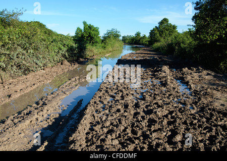 Überfluteten Teil der Trans-Pantanal-Autobahn, Pantanal Sumpfgebiete, südwestlichen Brasilien, Südamerika Stockfoto