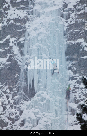 Zwei weibliche Eiskletterer aufsteigen die Multi-Pitch-Eis-Route, Moonlight WI4, auch Thomas Creek, Kananaskis, Alberta, Kanada Stockfoto