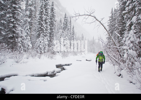 Eine weibliche Eiskletterer auf dem Ansatz zu klettern Moonlight WI4, auch Thomas Creek, Kananaskis, Alberta, Kanada Stockfoto