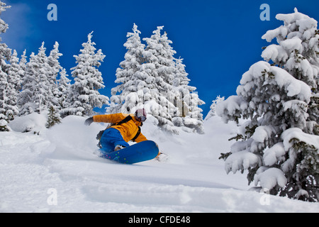 Eine junge Frau reitet ihr Splitboard im Sonnenschein Dorf Backcountry, Banff Nationalpark, Alberta, Kanada Stockfoto