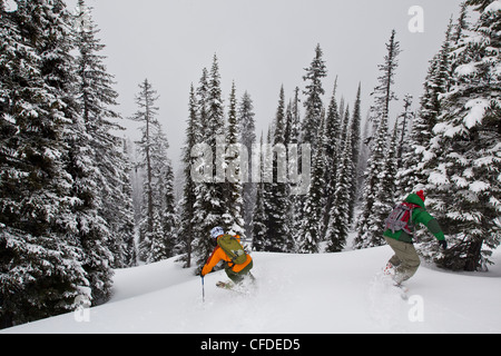 Ein Mann fährt Tiefschnee in den Monashee während Katze Skifahren. Vernon, Britsh Columbia, Kanada Stockfoto