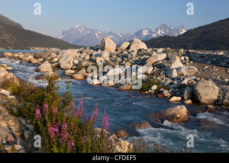 Trail zu Titcomb Becken, Wind River Range, Wyoming, Vereinigte Staaten von Amerika Stockfoto