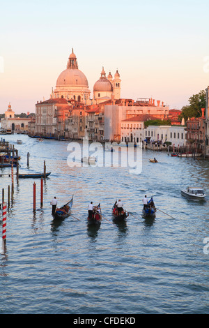 Gondeln auf dem Canal Grande, Blick in Richtung der gewölbte Kirche von Santa Maria Della Salute, Venedig, Veneto, Italien Stockfoto