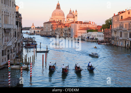 Gondeln auf dem Canal Grande, und Blick in Richtung der gewölbte Kirche von Santa Maria Della Salute, Venedig, Veneto, Italien Stockfoto