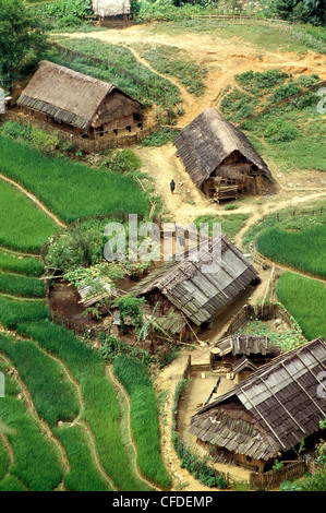 Reisfelder in Sapa Region Nord-Vietnam, Vietnam, Indochina, Südostasien, Asien Stockfoto