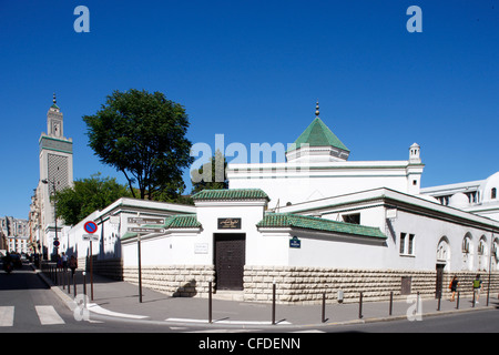 Paris große Moschee, Paris, Frankreich, Europa Stockfoto