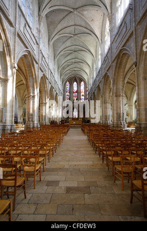 Saint-Louis Kathedrale, Blois, Loir-et-Cher, Frankreich, Europa Stockfoto