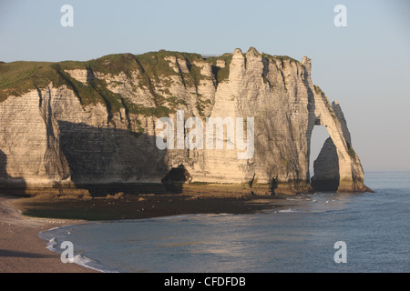 Klippen von Etretat, Cote d ' d'Albatre, Seine-Maritime, Normandie, Frankreich, Europa Stockfoto