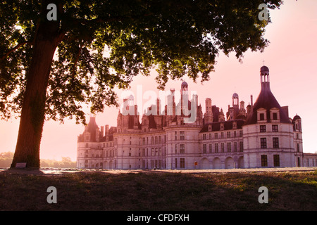 Nordfassade in den frühen Morgenstunden, Chateau de Chambord, UNESCO-Weltkulturerbe, Loir-et-Cher, Loiretal, Frankreich Stockfoto