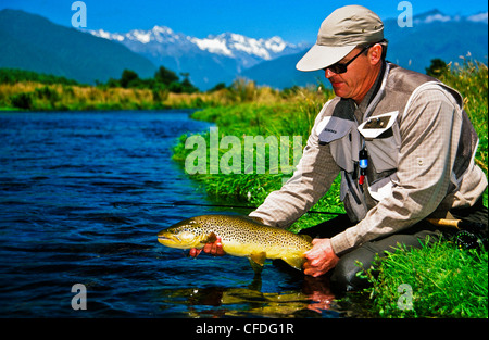 Mann, Bachforelle, Spring Creek, Südinsel, Neuseeland Stockfoto