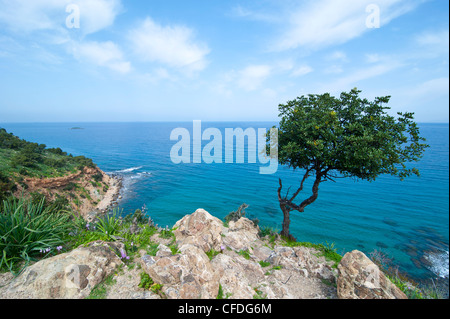 Das türkisfarbene Wasser auf der Akamas-Halbinsel, Zypern, Mittelmeer, Europa Stockfoto